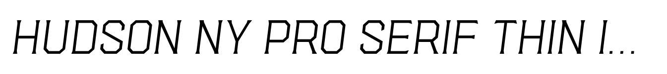 Hudson NY Pro Serif Thin Itl image